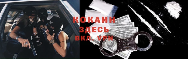 ГАЛЛЮЦИНОГЕННЫЕ ГРИБЫ Богданович