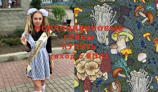 кокаин Белокуриха