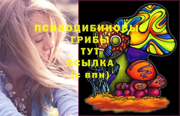 ГАЛЛЮЦИНОГЕННЫЕ ГРИБЫ Богданович