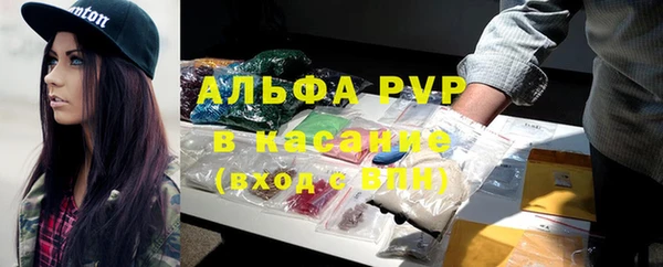 ГАЛЛЮЦИНОГЕННЫЕ ГРИБЫ Богданович