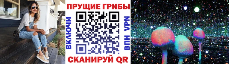 Псилоцибиновые грибы Magic Shrooms  дарнет шоп  Новокубанск 